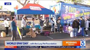 The benefits of lucy pet formulas for life™. World Spay Day With The Lucy Pet Foundation Ktla