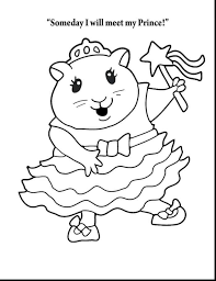 Super Cute Animal Coloring Pages Hamster Princess Desenhos