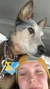 🙏🏻💚 A HEARTFELT THANK YOU TO ALL OUR AMAZING CUSTOMERS! 🤗🐾 We're  deeply grateful for the time you took to review us at 🟢Heavenly Pets  PETSHOP🟢. Your kind words and feedback mean