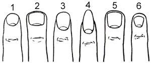 Maybe you would like to learn more about one of these? Arti Tanda Di Tubuh Primbon Com