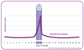 Opk Test Chart Bedowntowndaytona Com