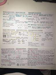 biology revision biological molecules a level study flashcards pet animals