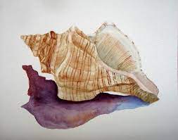 5 out of 5 stars (91) 91 reviews $ 12.00 free. Conch Seashell Watercolor Painting Conch Shell Art Print Etsy Shell Art Print Seashell Painting Art