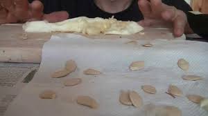 Courgette Comment Recuperer Les Graines Pour Un Nouveau Semis Youtube