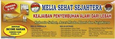 Contoh poster gambar iklan makanan sehat yang mudah digambar. Contoh Baliho Tentang Pemberitaan Hidup Sehat Supaya Sejahtera Barisan Contoh