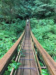Of them all, cape lookout state park offers some of the most impressive views with ample opportunity to camp, surf, hike, and even hang glide or paraglide. Long Bridge On Cape Lookout State Park Hike On The Oregon Coast Hiking
