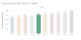 So far, tiger woods has made $1.4 billion, but much of. Tiger Woods Net Worth Celebscience