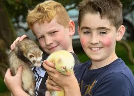 PICTURES & RESULTS: Boon Hill Show