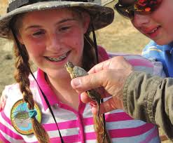 Movement Patterns and Habitat Use by the Western Pond Turtle (Actinemys  marmorata) in the East Bay Regional Park District