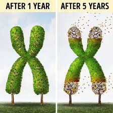 The hours calculator calculates the duration between two dates in hours and minutes. 10 Things That Happen When You Sit Down For 8 Hours Every Day