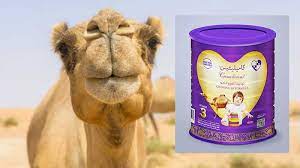I think that statement is old though, because they have a video up of some baby calves that were born not too long ago, so yes. Soon Camel Milk For Babies In Uae