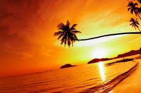 Fondo pantalla playa hd lugares para visitar en 2019 pinterest. Atardecer 4k Ultra Fondo De Pantalla Hd Fondo De Escritorio 5666x3739