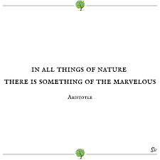 31 Most Beautiful And Inspiring Nature Quotes Spirit Button