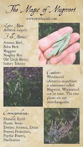 The Magic Of Mugwort At A Witch S Path Magic Herbs Herbal Magic Magical Herbs