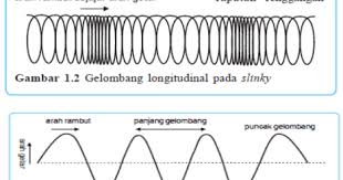 Gelombang transversal adalah gelombang yang arahnya tegak lurus, satu gelombang terhitung jika terdapat 1 bukit dan 1 lembah. Kunci Jawaban Perbedaan Yang Mendasar Antara Gelombang Transversal Dan Gelombang Longitudinal Adalah Rofa Education Centre