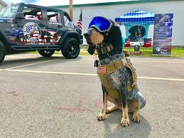 I Had A Great Time Yesterday At The In4wa Dixie The Praying Dog فېسبوک