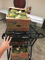 Equip your red team with the wifi pineapple® mark vii. Pineapple Cart Knightsofpineapple