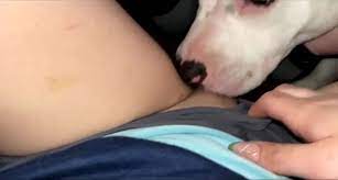 Bestiality Sex Taboo