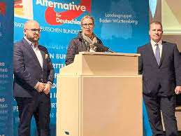 She used to be a banker for goldman sachs, giving her a bit of actual credibility in the realm of economics. Freudenstadt Afd Frau Alice Weidel Kritisiert Infektionsschutzgesetz Freudenstadt Umgebung Schwarzwalder Bote