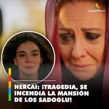 Sheinbaum y #Arévalo se reunieron en #CELAC para hablar del Tren Maya en  #Guatemala. ➡️ https://bit.ly/425ExMu