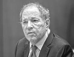 Student government elects new VP