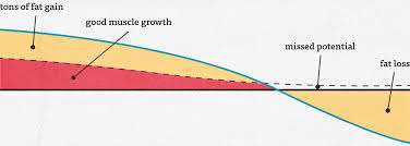 A learning curve is ok, loss of consciousness is not! Is Intermittent Fasting Good For Gaining Muscle Bony To Beastly