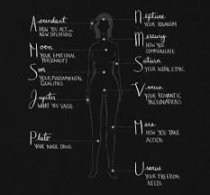 Anatomical Representation Of The Zodiac Birth Chart My