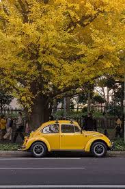 Boleh up nama kedai, alamat kedai dan contect no. Yeah They Were All Yellow Yellow Aesthetic Shades Of Yellow Yellow Aesthetics