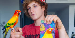 Logan Paul Net Worth With Images Net Worth Logan Paul Worth