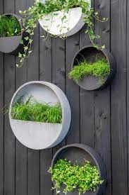 minimalist hanging wall planter hanging planter indoor outdoor hanging plant pot in 2021 hanging plants outdoor hanging wall planters wall planters outdoor