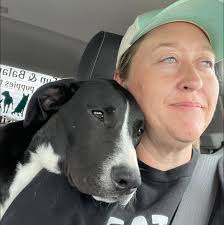 Pawsitive Pathways innovative dog rescue program