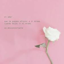 Vive Con Locura Frases Fraseshermosas Frasescelebres Amor Escritos Escritores Reflexiones Refl Citas De Flores Frases Frases De Superacion