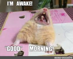 Explore and share the best awake memes and most popular memes here at memes.com. Meme I M Awake Good Morning All Templates Meme Arsenal Com