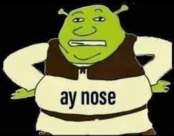 Resultado De Imagenes De Google Para Https Cdn Dopl3r Com Media Memes Files Ay Nose 7fsqi Jpg Memes Atrevidos Memes Memes Graciosos