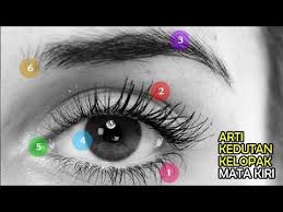 Biasanya dalam hal ini anda akan bertemu dengan kekasih yang sudah lama ditunggu seperti ketika anda sedang menjalani hubungan jarak jauh alias ldr. 6 Arti Kedutan Kelopak Mata Kiri Menurut Islam Dan Primbon Jawa Youtube