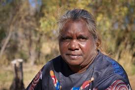 Remote WA community buys prefab Chinese houses after decades in unfit homes 