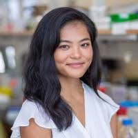 40+ "Sumrow" profiles