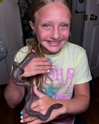 Ryleigh's Reptile Room