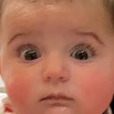 M🍕na Tavakoli (@mona_tavakoli) • Instagram photos and videos