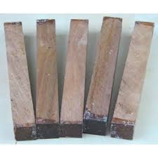 Image result for Xylia torreana