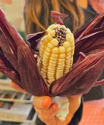 Nando Jaramillo of local @moonandstarsvt did a fun and delicious demo at  the Co-op