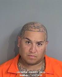 DEVON AKINS Booked in Osceola County Jail for Domestic Battery