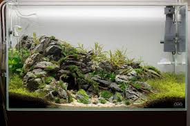 Ada 60p Mighty Cave In 2020 Aquascape Aquarium Aquascape Aquarium