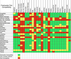 Freshwater Fish Compatibility Aquarium Fish Tropical