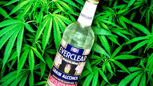 If you want your glycerin tincture to be stronger, you can evaporate some of the alcohol and add glycerin in its place. How To Make Cannabis Tincture Green Dragon Goodeats420 Com Youtube