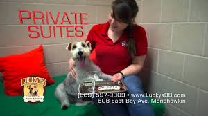 With four acres of beautiful space and a loving personable staff, your pet will be treated as a part of our family during their stay! Lucky S Bed Biscuit Premier Pet Boarding Facility Lbi Nj