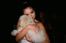 Now you can either pick celebrities to name your dog after, or you can pick the names that celebrities give to their pets. Celebrity Pets Celebrities With Their Dogs And Cats