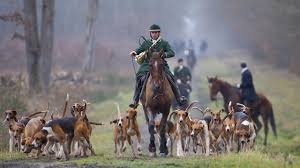 Enfin, la chasse à courre mène à des troubles de l'ordre public. Traque D Un Cerf A Compiegne Ce Qu Il Faut Savoir Sur La Chasse A Courre En France Lci