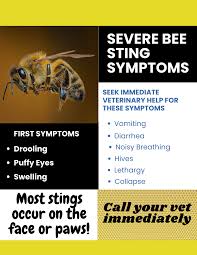 Bee Safe! How To Prevent And Treat Bee Stings - Dog On It Parks Blog