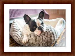 Polarr makes advanced free online photo editor, also available for ios, android, mac and windows with professional photo editing tools. Wooden Picture Frame Online Frame Editor